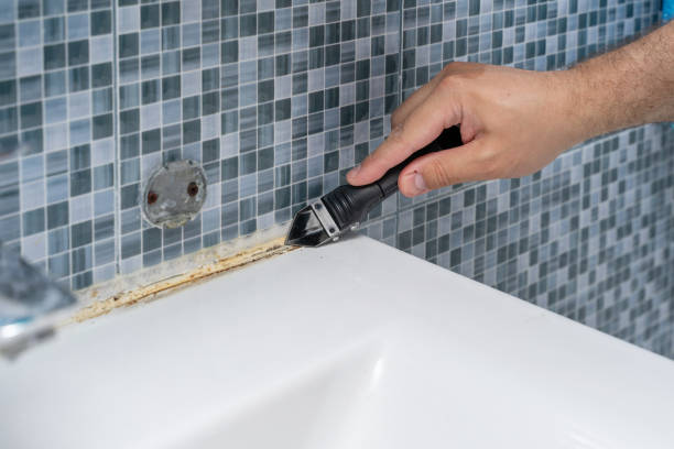 Best Home Mold Removal  in Smith Center, KS