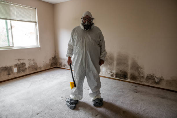 Best Commercial Mold Removal  in Smith Center, KS