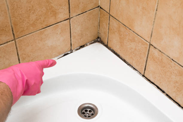 Best Office Mold Removal Services  in Smith Center, KS